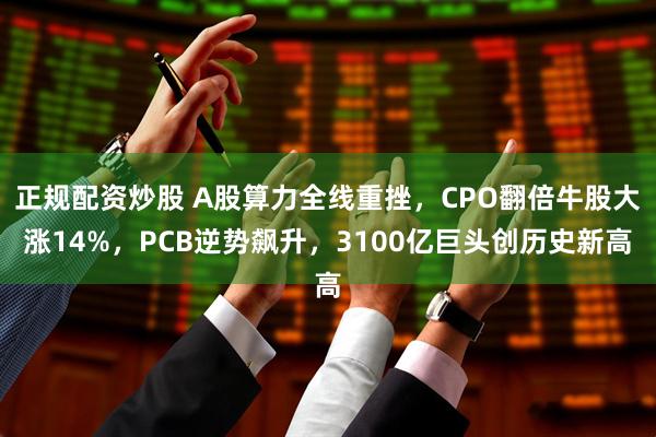 正规配资炒股 A股算力全线重挫，CPO翻倍牛股大涨14%，PCB逆势飙升，3100亿巨头创历史新高