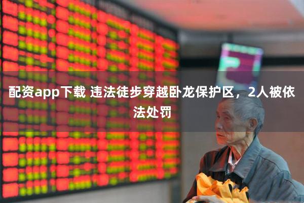 配资app下载 违法徒步穿越卧龙保护区，2人被依法处罚